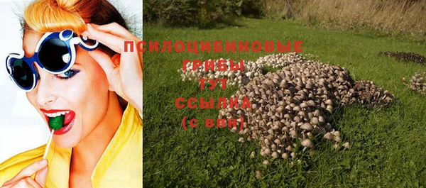 гашик Строитель