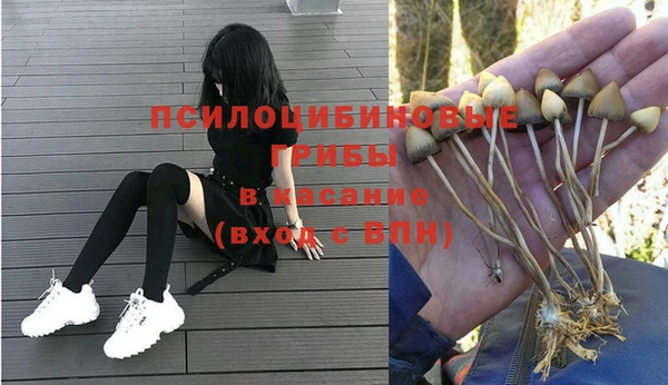 гашик Строитель