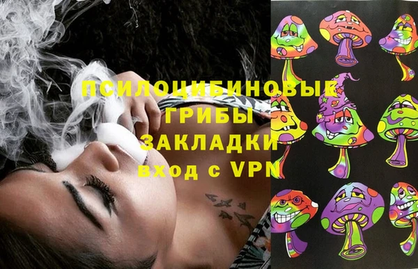 MESCALINE Павловск