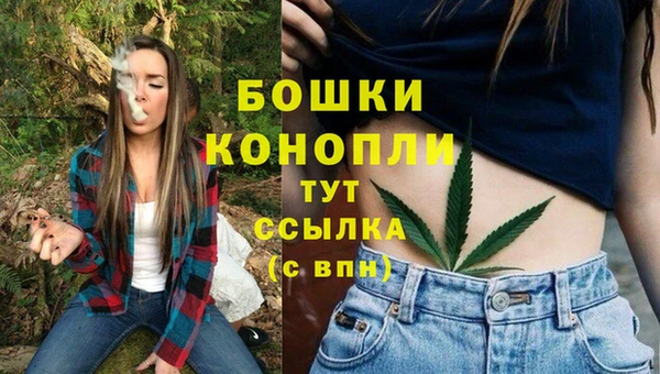 гашик Строитель