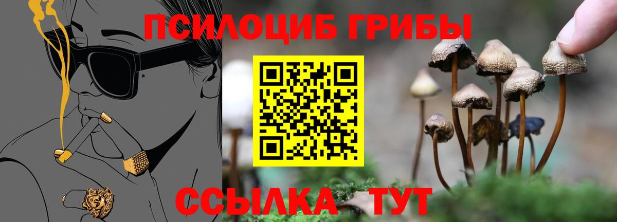 Псилоцибиновые грибы Cubensis  Псилоцибиновые грибы Cubensis  Учалы 